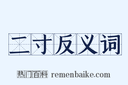 二寸反义词是什么意思的图片